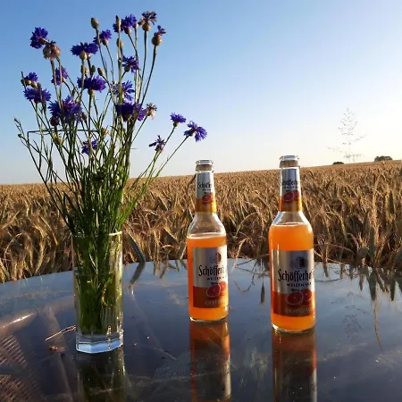 דירה Ein Bett Im Kornfeld - Haus Fernweh - Innenpool *