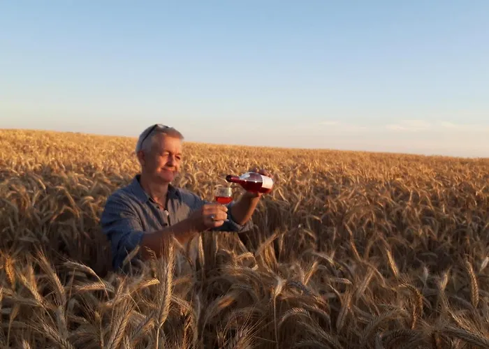 Ein Bett Im Kornfeld - Haus Fernweh - Innenpool * Schonfeld (Mecklenburgische Seenplatte)