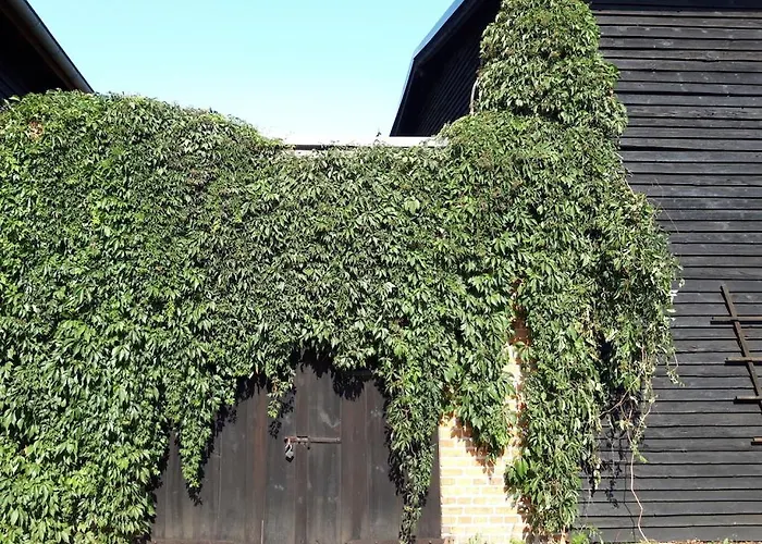 Lejlighed Ein Bett Im Kornfeld - Haus Fernweh - Innenpool Schonfeld (Mecklenburgische Seenplatte)