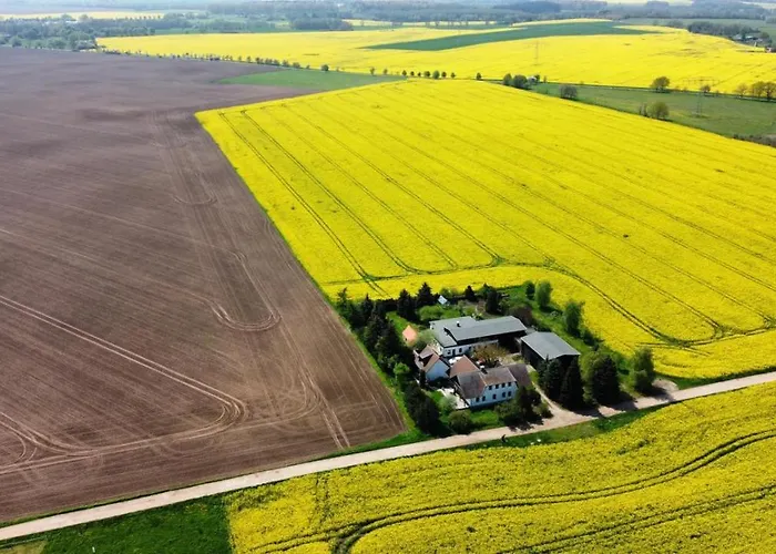 Ein Bett Im Kornfeld - Haus Fernweh - Innenpool Lejlighed Schonfeld (Mecklenburgische Seenplatte)